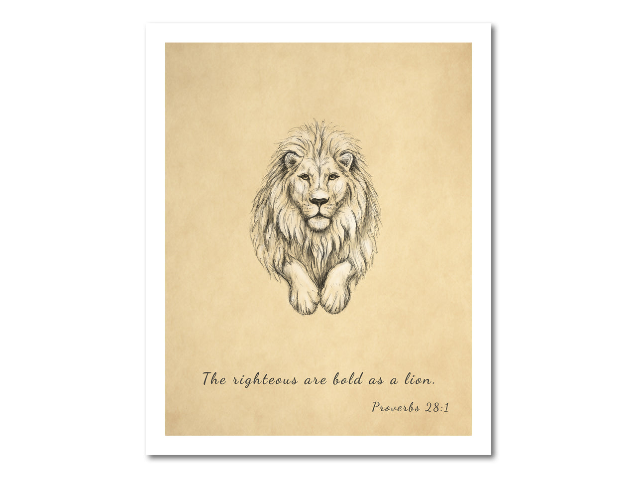 The righteous are bold as a lion (Proverbs 28:1) Poster Print