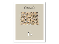 Thumbnail for Lost Sheep from Colorado Poster Print
