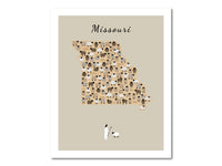 Thumbnail for Lost Sheep from Missouri Poster Print