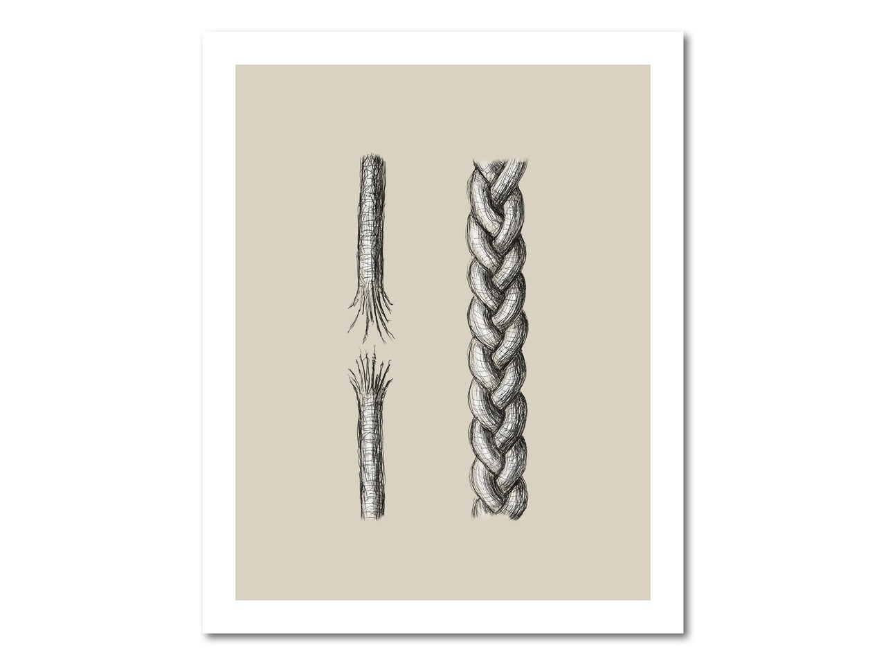 A cord of three strands is not easily broken (Ecclesiastes 4:12) Poster Print