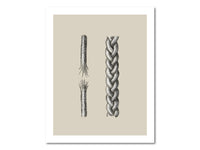 Thumbnail for A cord of three strands is not easily broken (Ecclesiastes 4:12) Poster Print